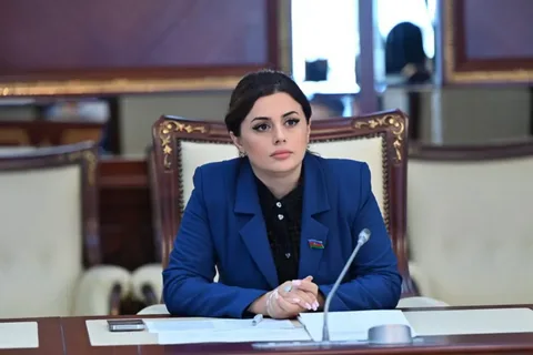 Almaniya ilə qurulan əməkdaşlıq kompleks strateji tərəfdaşlığı əks etdirir - RƏY