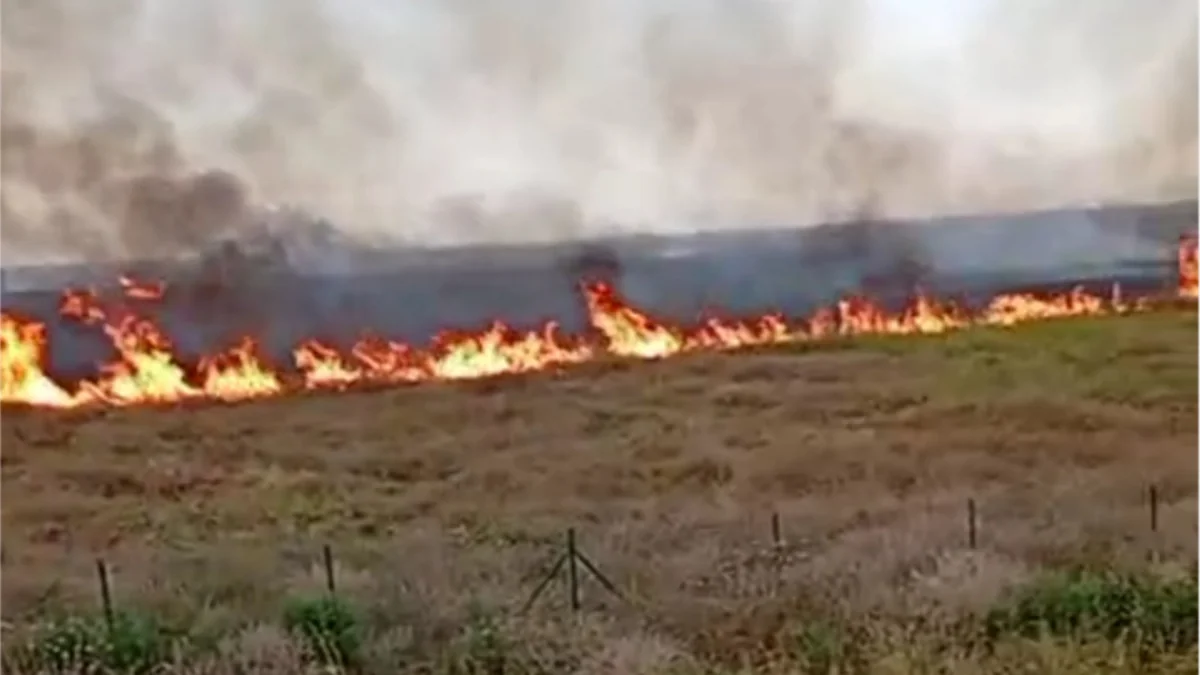 Sarıcalı kəndi yaxınlığında açıq ərazidə yanğın başlayıb 