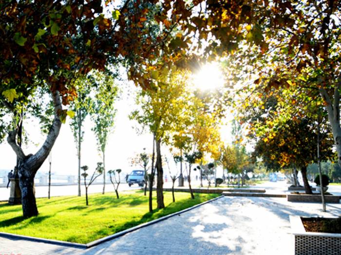 Sabah Bakıda 38, rayonlarda 39 dərəcə isti olacaq