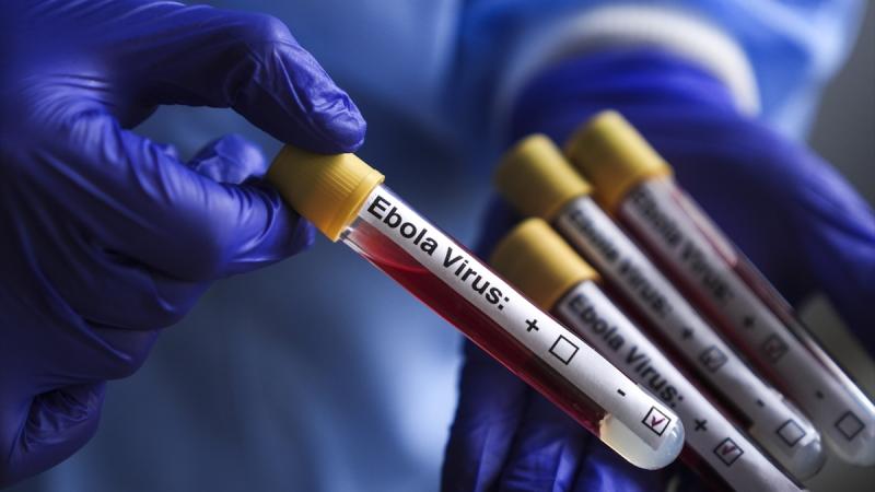 Ebolaya qarş ilk eksperimental peyvənd sınaqdan keçirilib