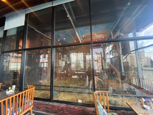 Bakıda"Kolorit" restoranına xəbərdarlıq edilib - FOTO