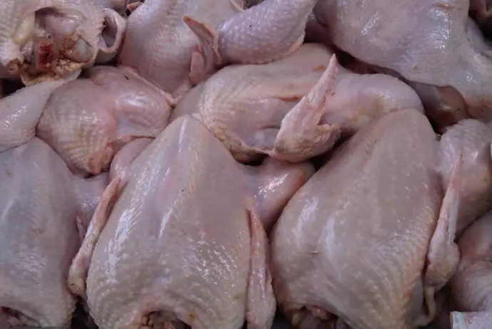 Məhkəmə ölkəyə yararsız toyuq əti məhsulu gətirmiş şirkəti cərimələdi