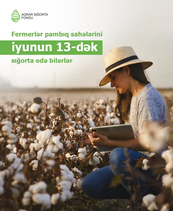 Pambıq sahələrinin sığortası iyunun 13-dək davam edəcək