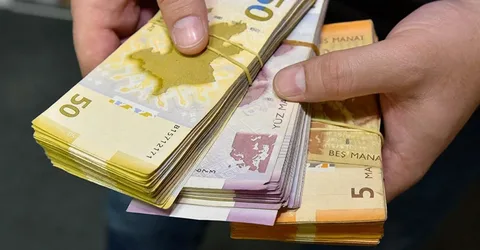 Azərbaycanda 7 ayda büdcədən 182 milyon manatdan çox vəsait geri qaytarılıb