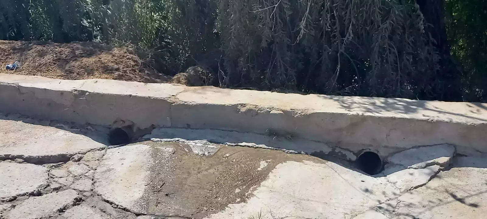 Yevlaxda su hövzəsinə çirkab su axıdılıb