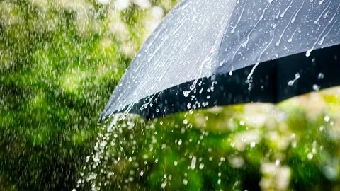 Sabah bəzi yerlərdə yağış yağacaq - PROQNOZ