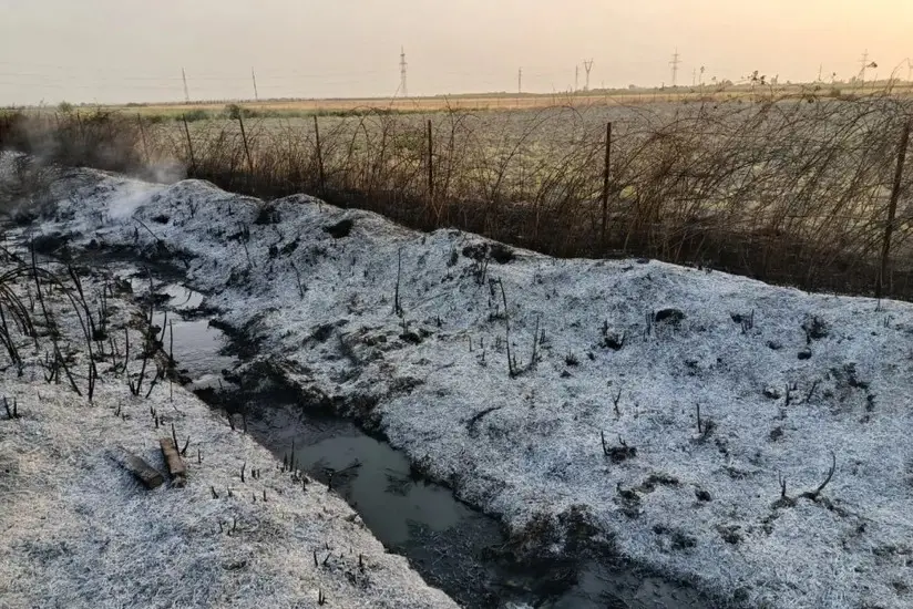 Ağsuda qəsdən yanğın törədən şəxs müəyyən edilib