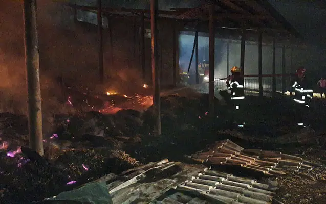 Ləkəranda fermada güclü yanğın - Mal-qara tələf oldu