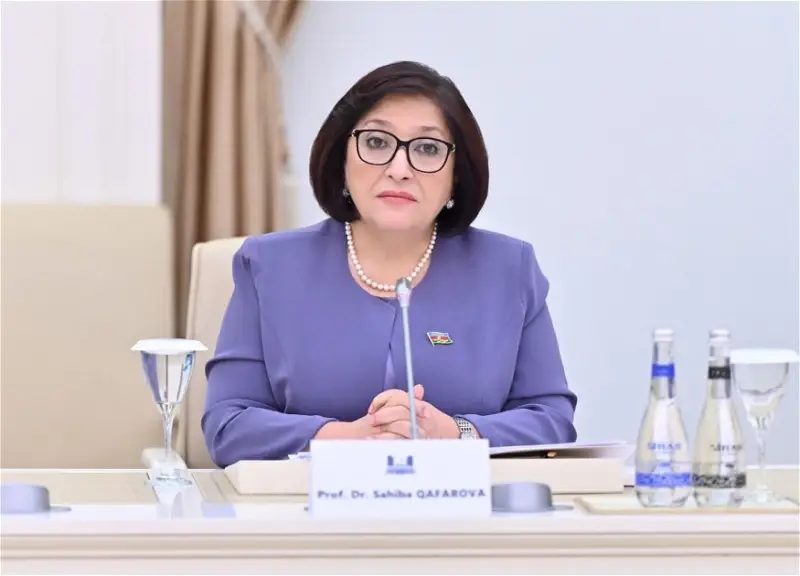 Azərbaycan dövlətinin tarixi ağır sınaqlar və parlaq qələbələr tarixidir – Sahibə Qafarova