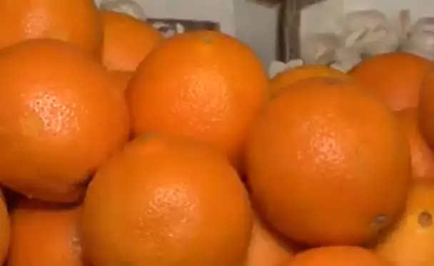Ölkəyə gətirilən portağallar təhlükə saçır - İddia