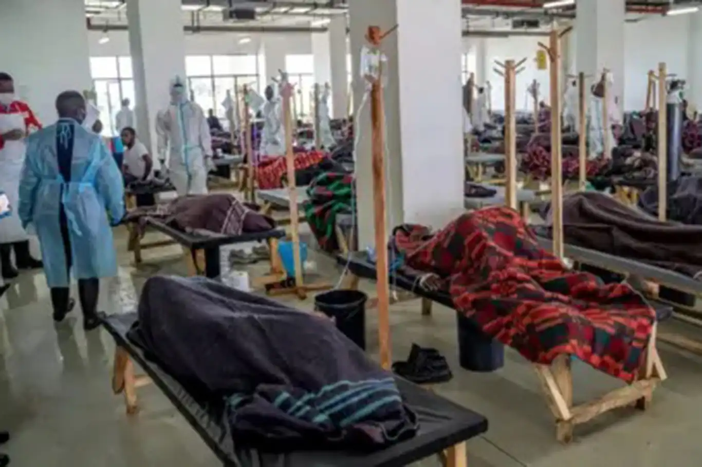 Qanada vəbadan ölənlərin sayı artır