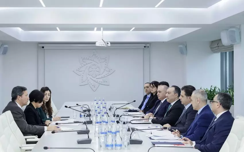 BVF missiyasına Azərbaycanda son illər aparılan sosial islahatlara dair məlumatlar verilib - FOTO