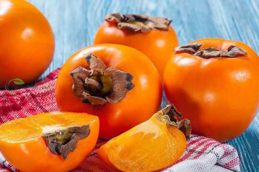 Azərbaycanın xurma ixracından gəliri 13% artıb