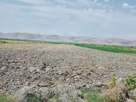 Xocavənd, Xocalı və Laçında aqrar torpaqlar icarəyə veriləcək