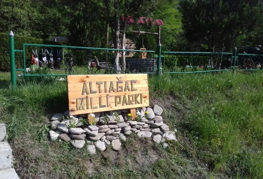Altıağacın piknik ərazisini icarəyə verdilər - Giriş üçün əlavə pul yığılır