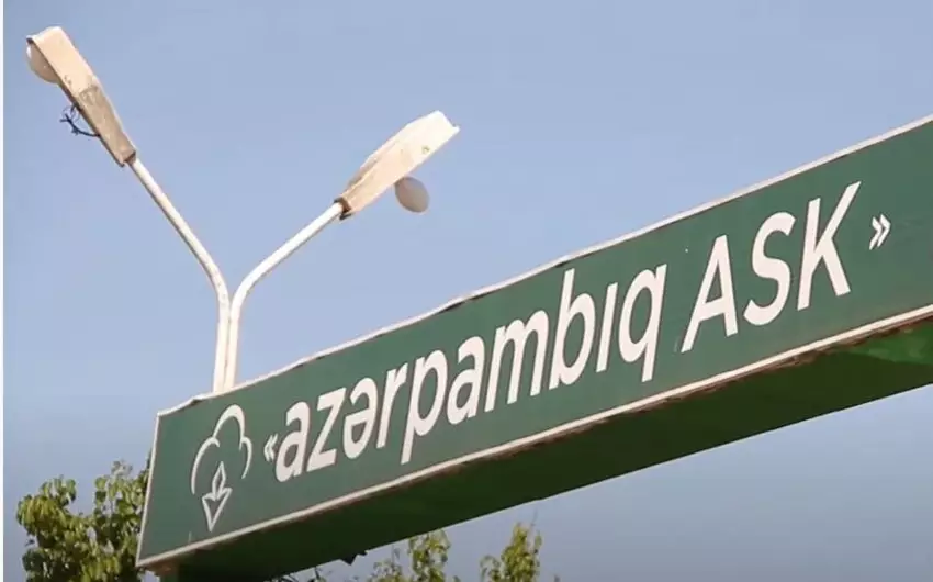 “Azərpambıq” zərərlə işləməyə başlayıb
