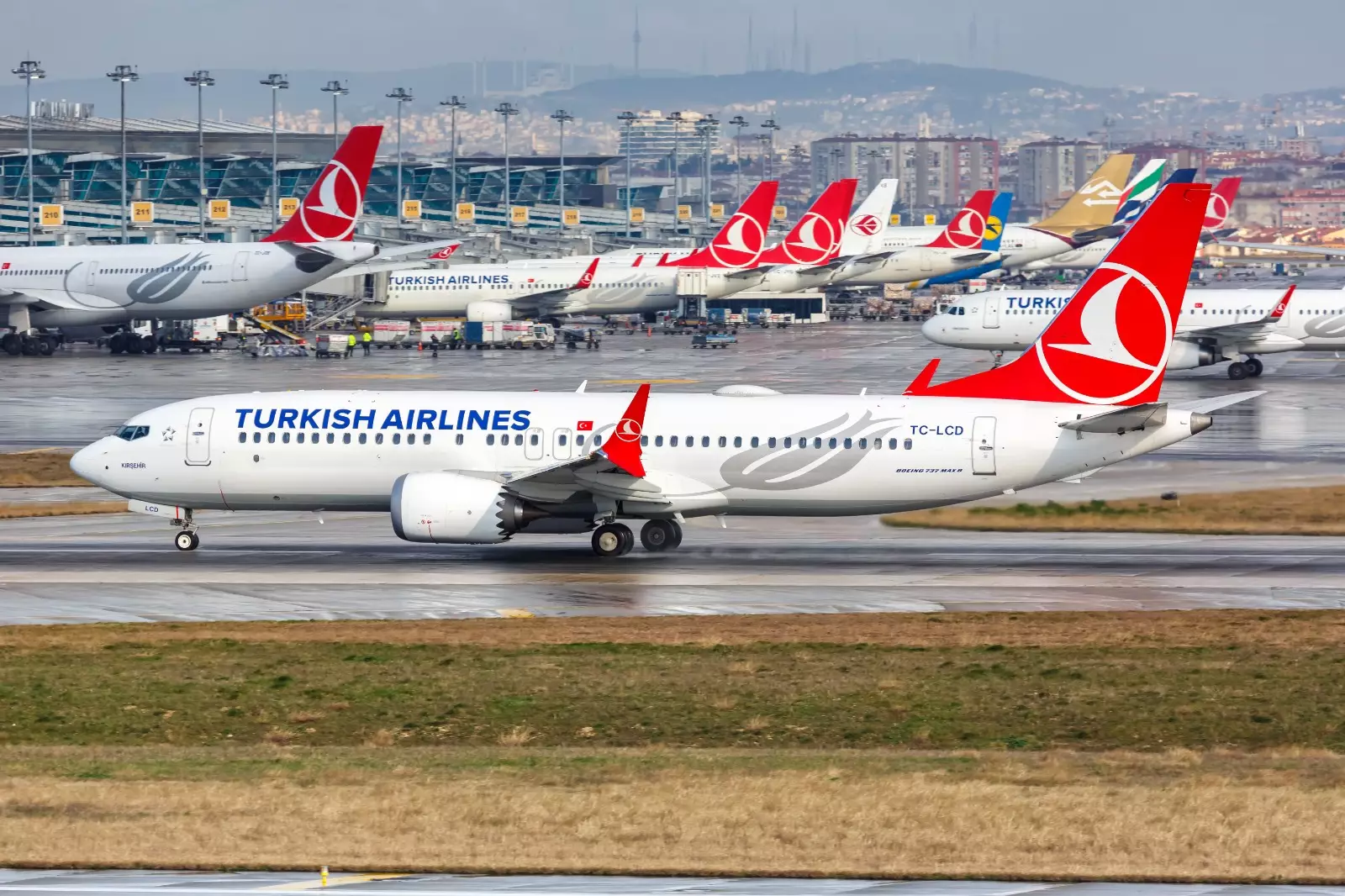 Türk Hava Yolları Rusiyaya bütün reyslərini ləğv edib