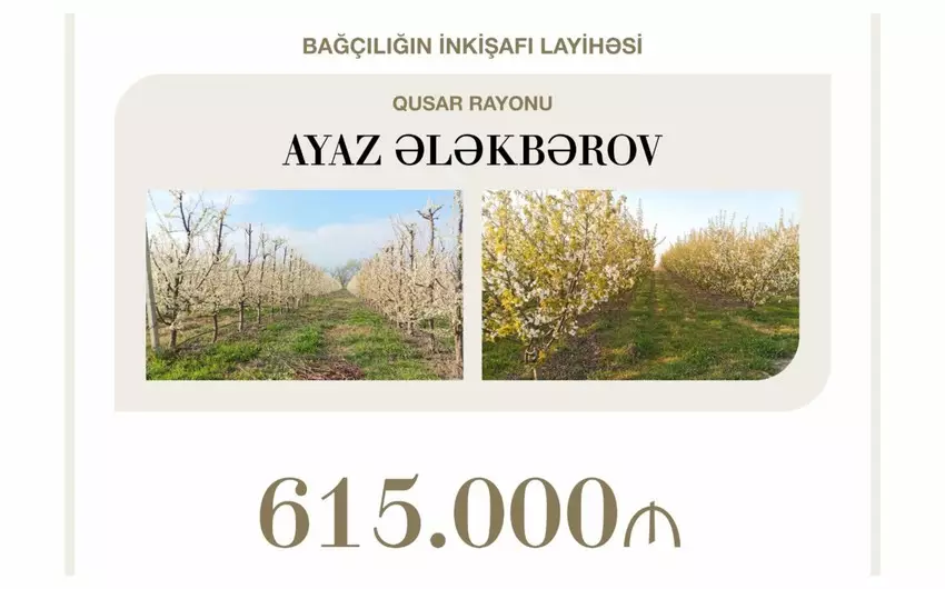 Bağçılığın inkişafına 615 min manat manat kredit verilib