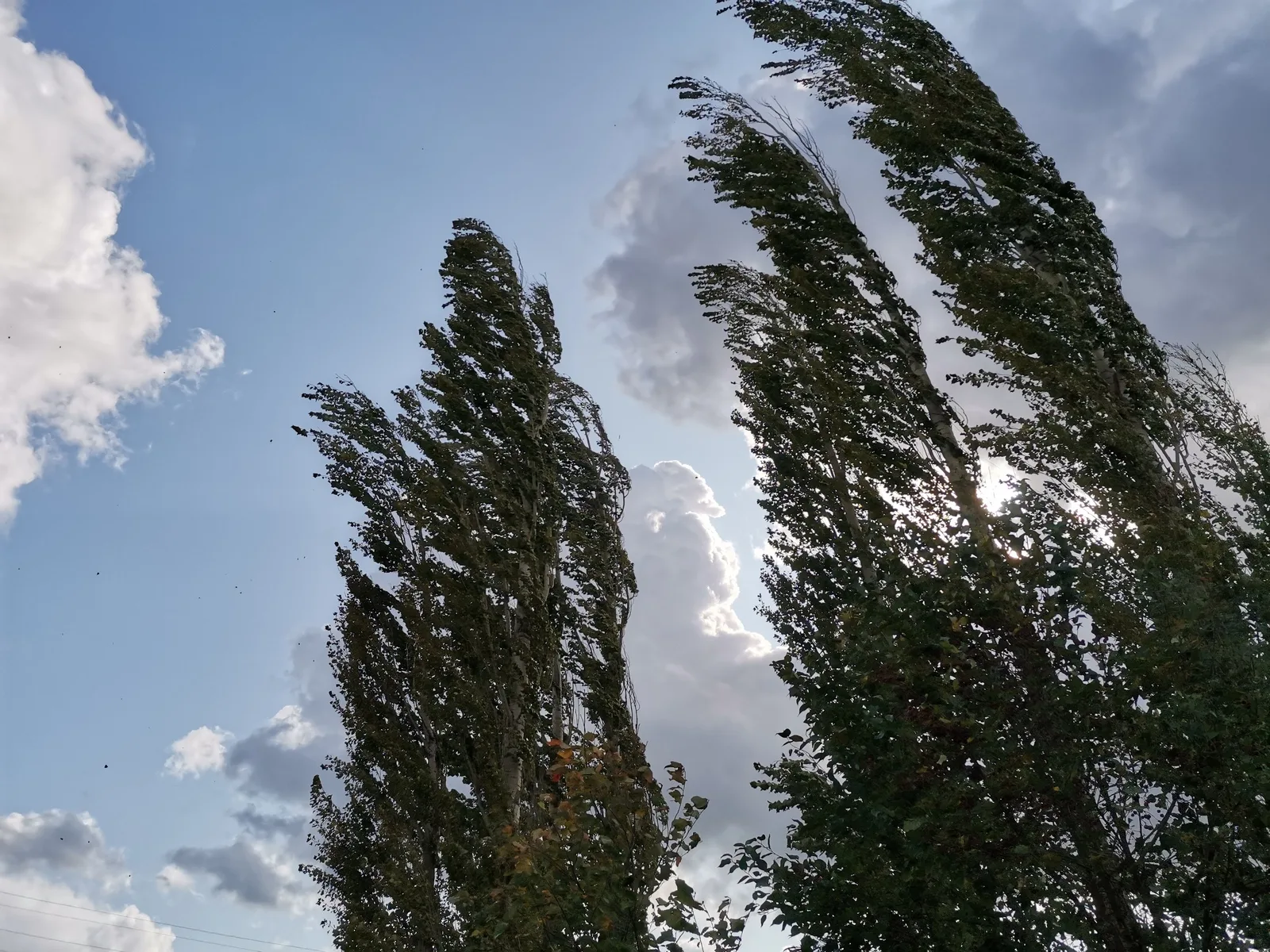 Faktiki hava açıqlanıb