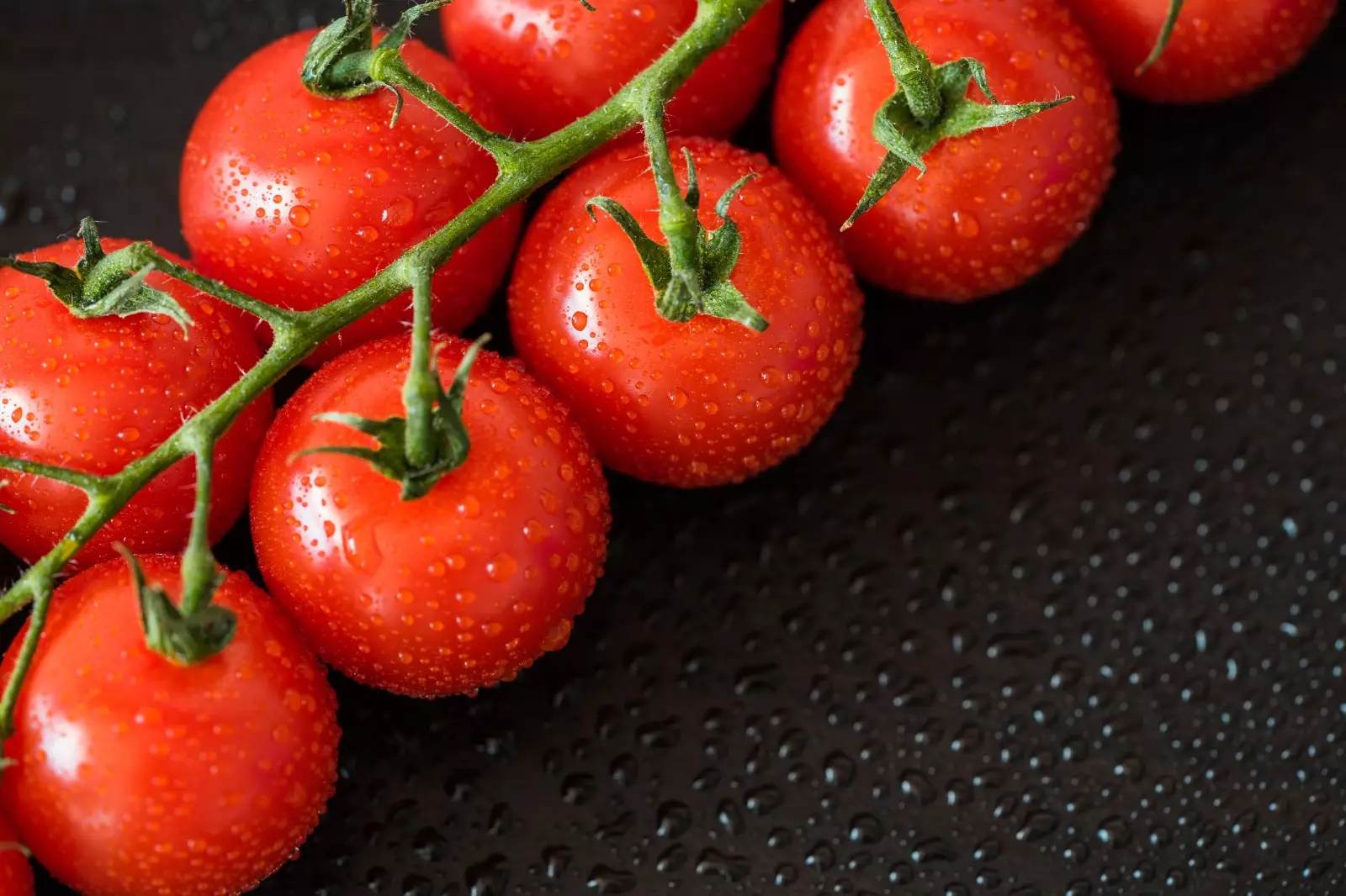 Ölkənin pomidor satışından gəliri azalır