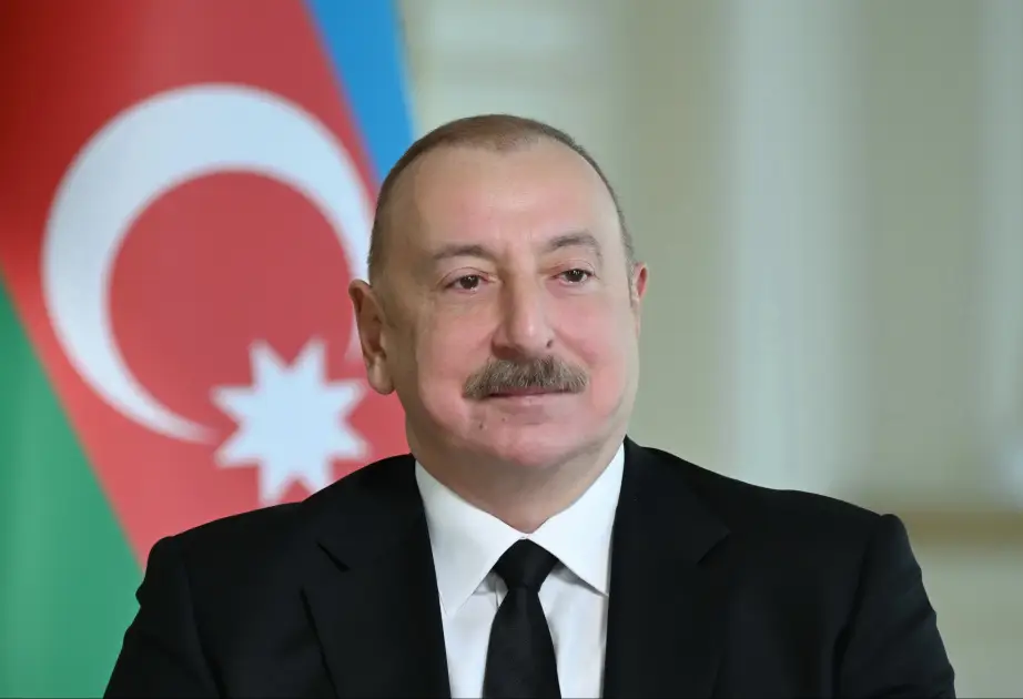 Prezident: Hazırda media mühiti sürətli transformasiyaya məruz qalır