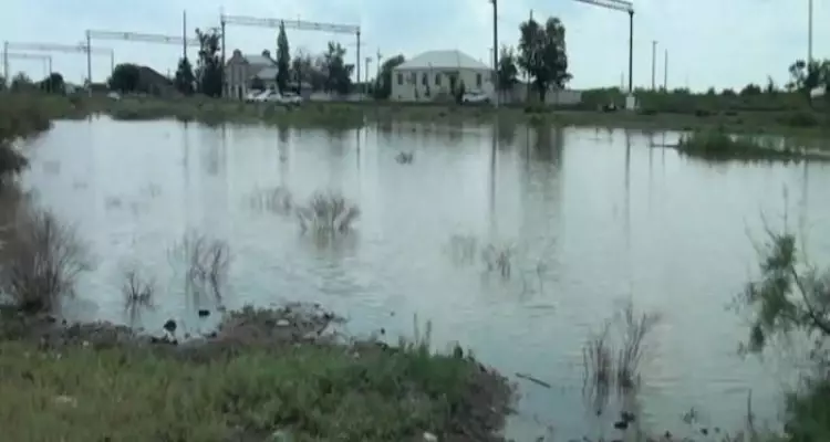Goranboyda sel: xırdabuynuzlu heyvanlar tələf olub