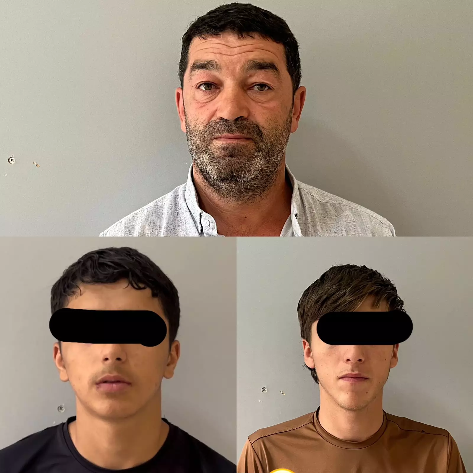 Xızıda atları oğurlayan dəstə üzvləri saxlanılıblar 