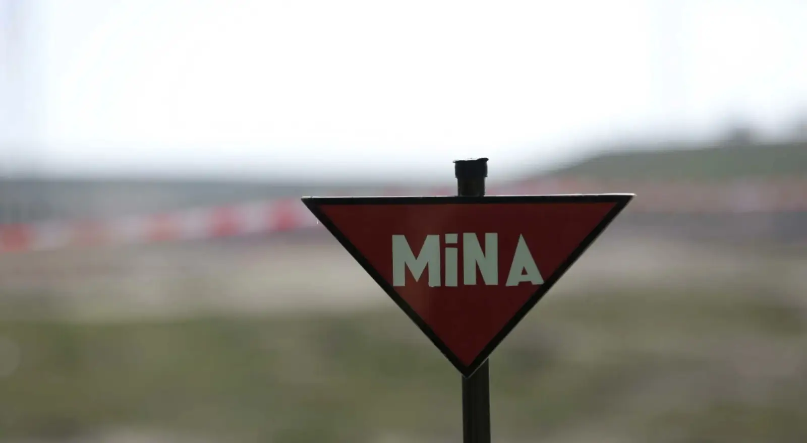 ANAMA minatəmizləmə işləri ilə bağlı bir sıra şirkətlə nəhəng müqavilələr bağlayıb