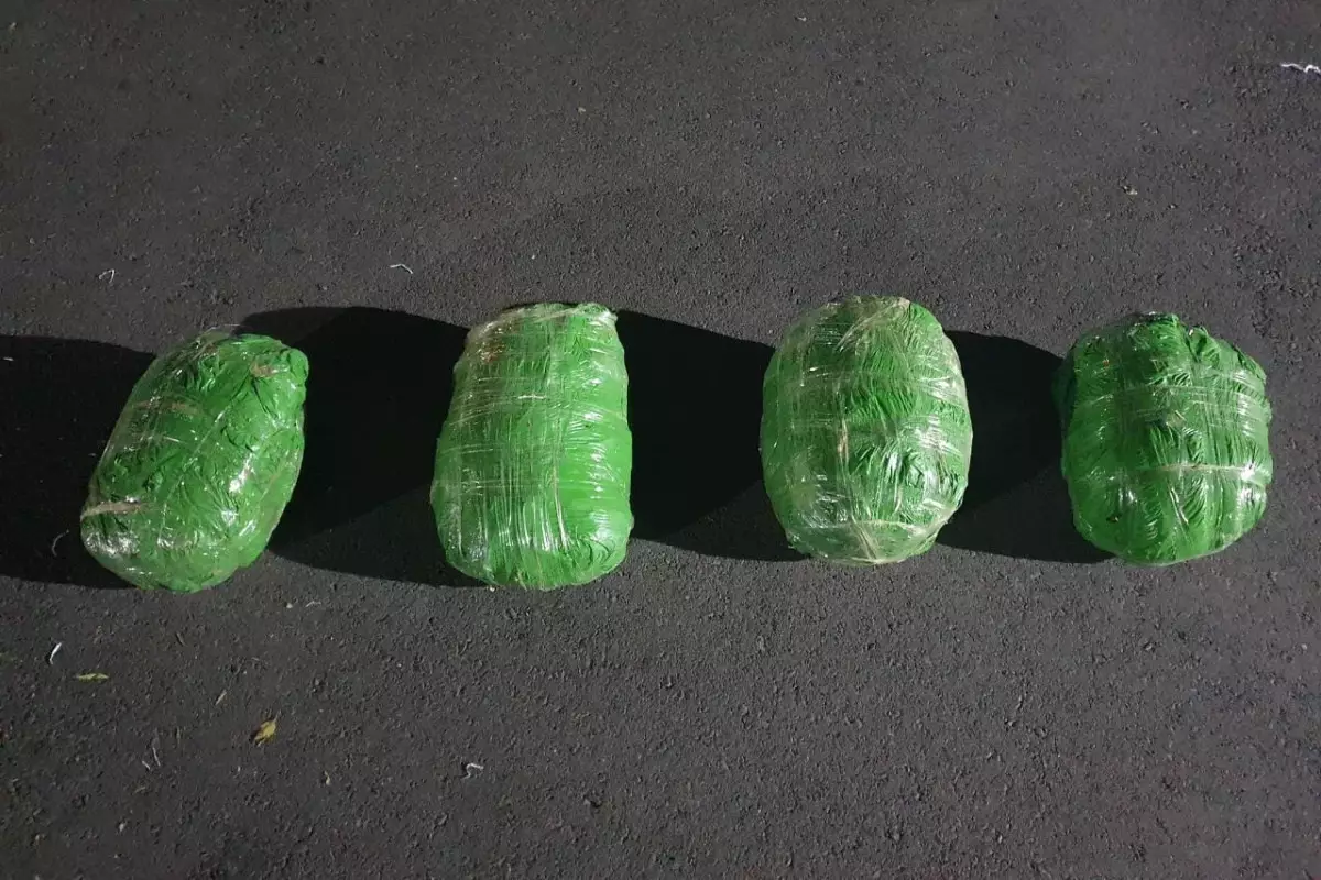 Bərdədə bir şəxsdə 8 kiloqram marixuana aşkarlanıb