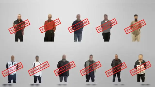 İnterpol əməliyyatı: 11 axtarışda olan şəxs Türkiyəyə qaytarıldı