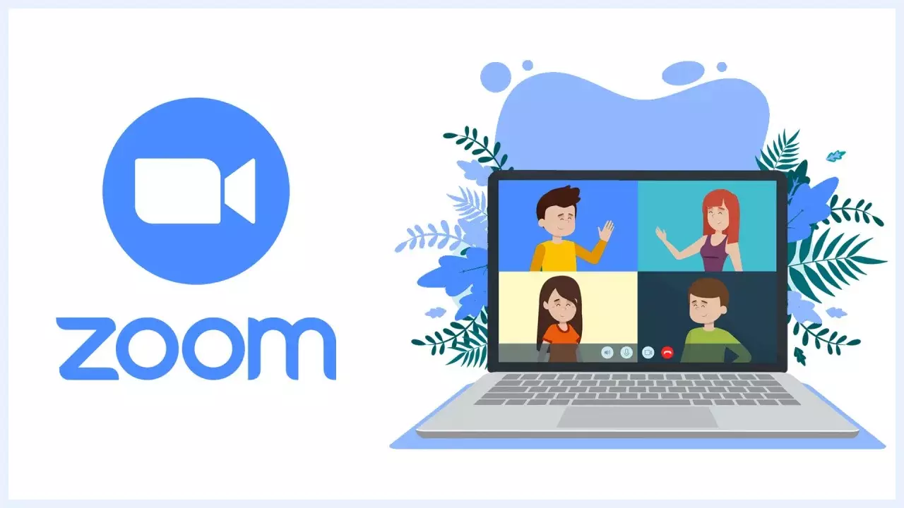 "Zoom"un xalis mənfəəti 23% artıb