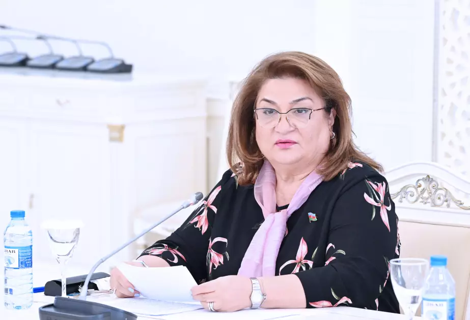 Bir çox hallarda evləri, hətta məktəb və digər sosial obyektləri sobalarla isidirdilər – Komitə sədri
