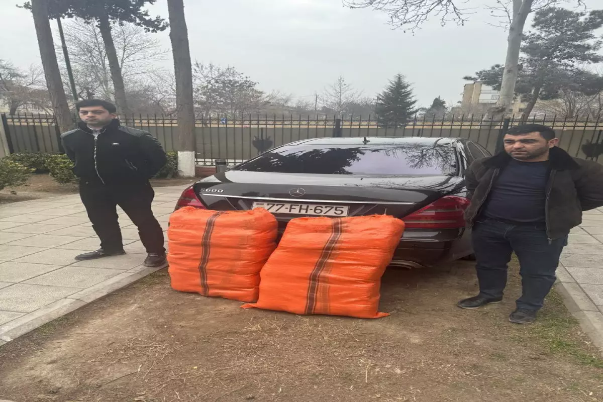 Qanunsuz narkotik dövriyyəsində şübhəli şəxslər ifşa edilib