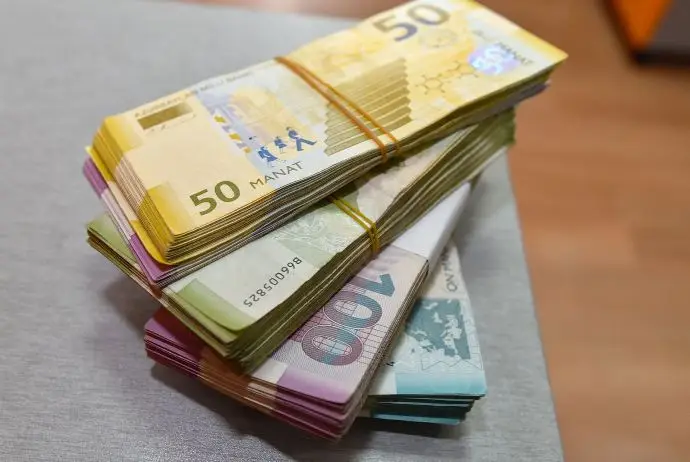 Azərbaycan dövlət büdcəsindən 8 ayda 202,3 milyon manat geri qaytarılıb