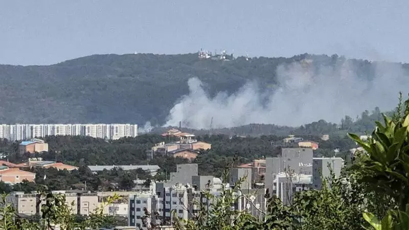 Cənubi Koreyada təyyarə qəzaya uğrayıb, 4 nəfər ölüb - YENİLƏNİB