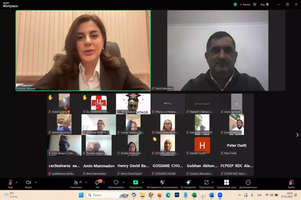 COP29 QHT Koalisiyası hibrid görüş keçirib - FOTO