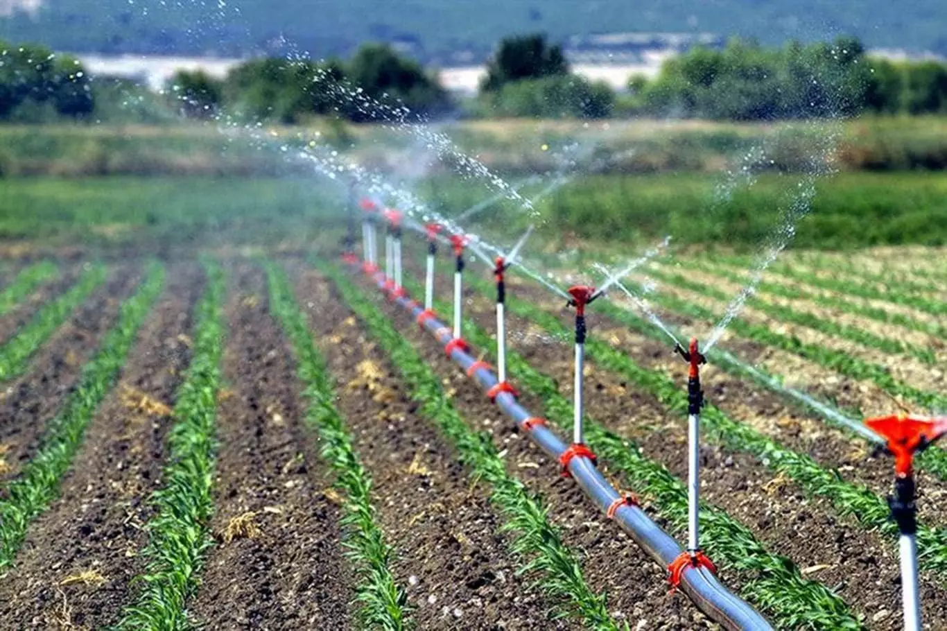 Müasir suvarma sistemlərinin satışına 40% güzəşt tətbiq edilir