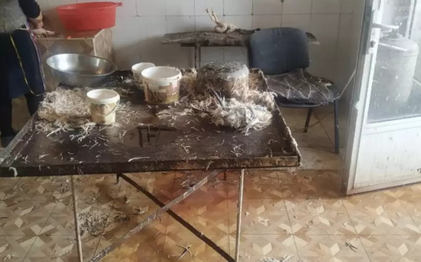 Şəmkirdə quş kəsimi müəssisəsinin fəaliyyəti nöqsanlara görə məhdudlaşdırılıb