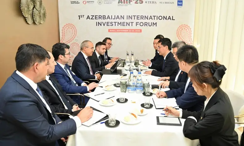 "Datang Overseas Investment Co" şirkətinin prezidenti ilə görüş keçirilib