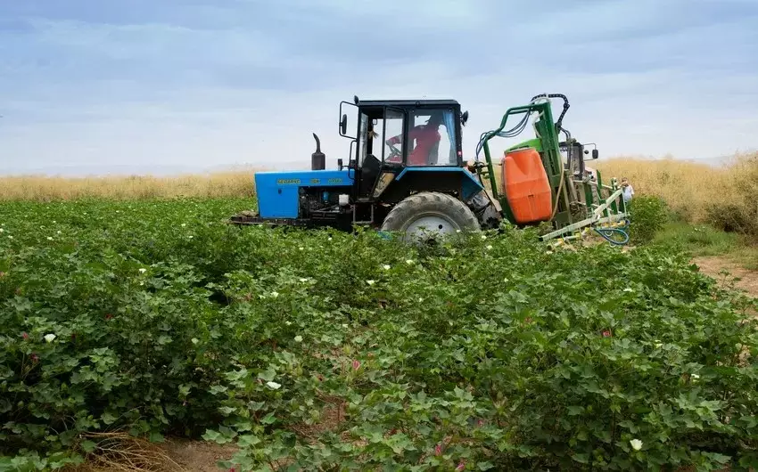 Aqrar Subsidiya Şurası subsidiya əmsalları ilə bağlı yeni qərar qəbul edib