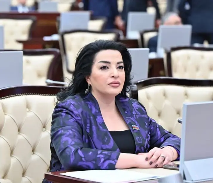 Bayrağımızın ucalığı xalqımızın birliyində və dövlətimizin gücündədir - RƏY