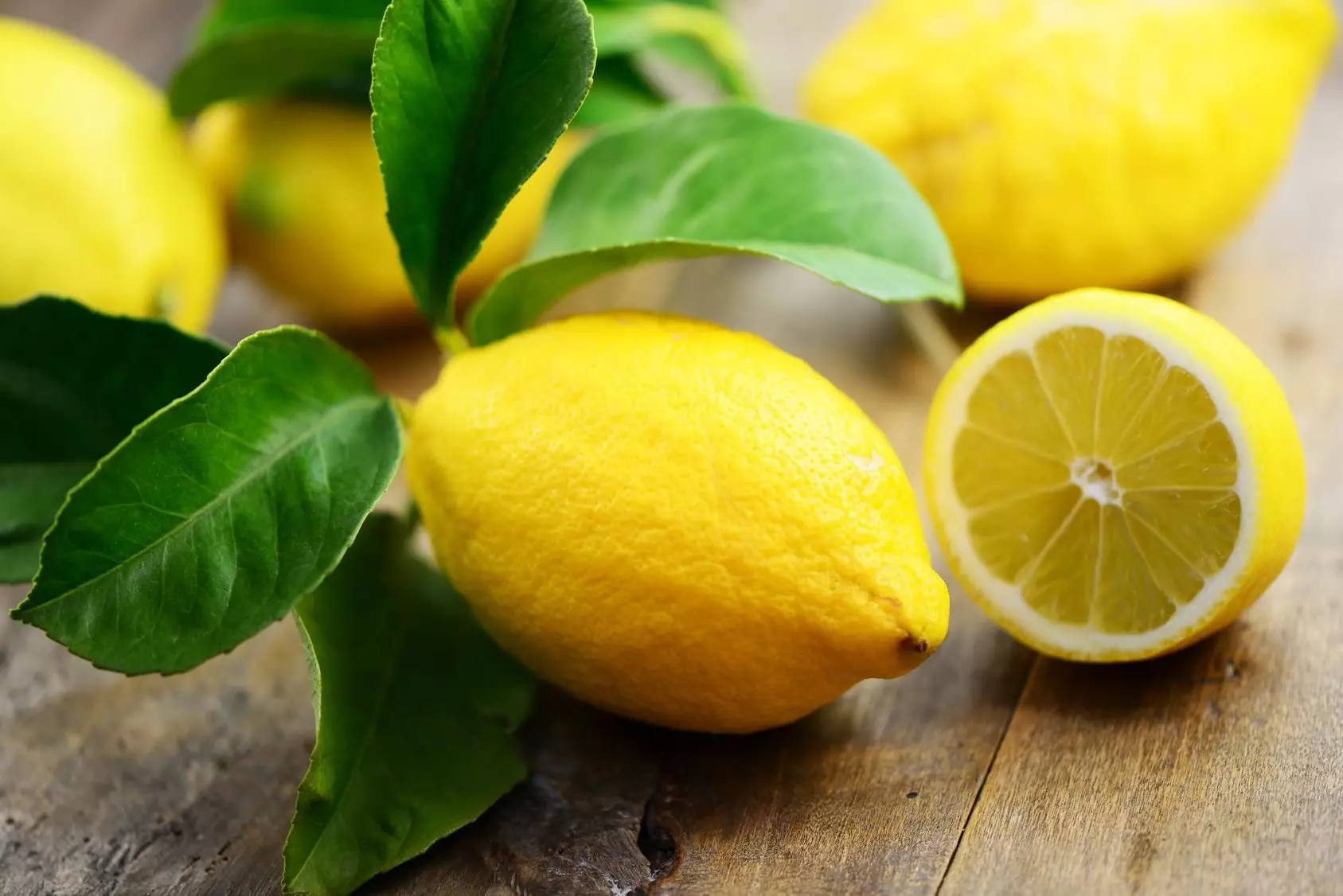 Türkiyə limon ixracını dayandırmaq qərarını təxirə saldı