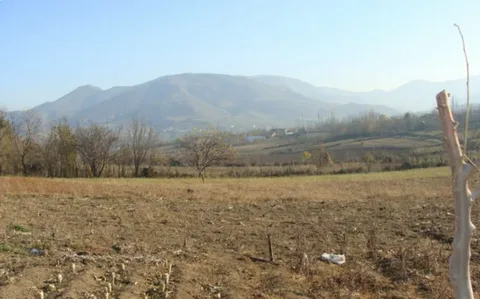 Azərbaycanda növbəti torpaq hərracı elan edilib