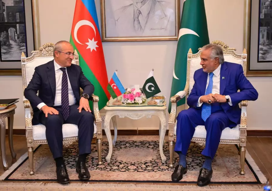 Mikayıl Cabbarov Pakistanın Baş nazirinin müavini Məhəmməd İshaq Dar ilə görüşüb