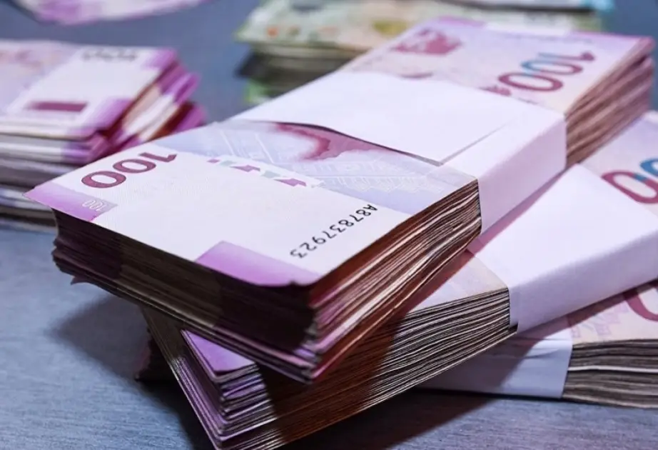 Naxçıvanda qeyri-dövlət sektorundan vergi daxilolmaları 29,8 faiz artıb