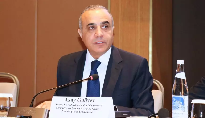 “Anti-Azərbaycan qüvvələri bu dəfə də COP29-da məğlub oldular” - RƏY