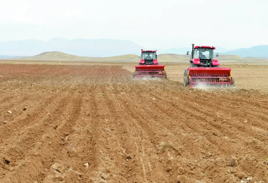 Baş nazir kənd təsərrüfatı təyinatlı torpaqlarla bağlı qərar imzalayıb