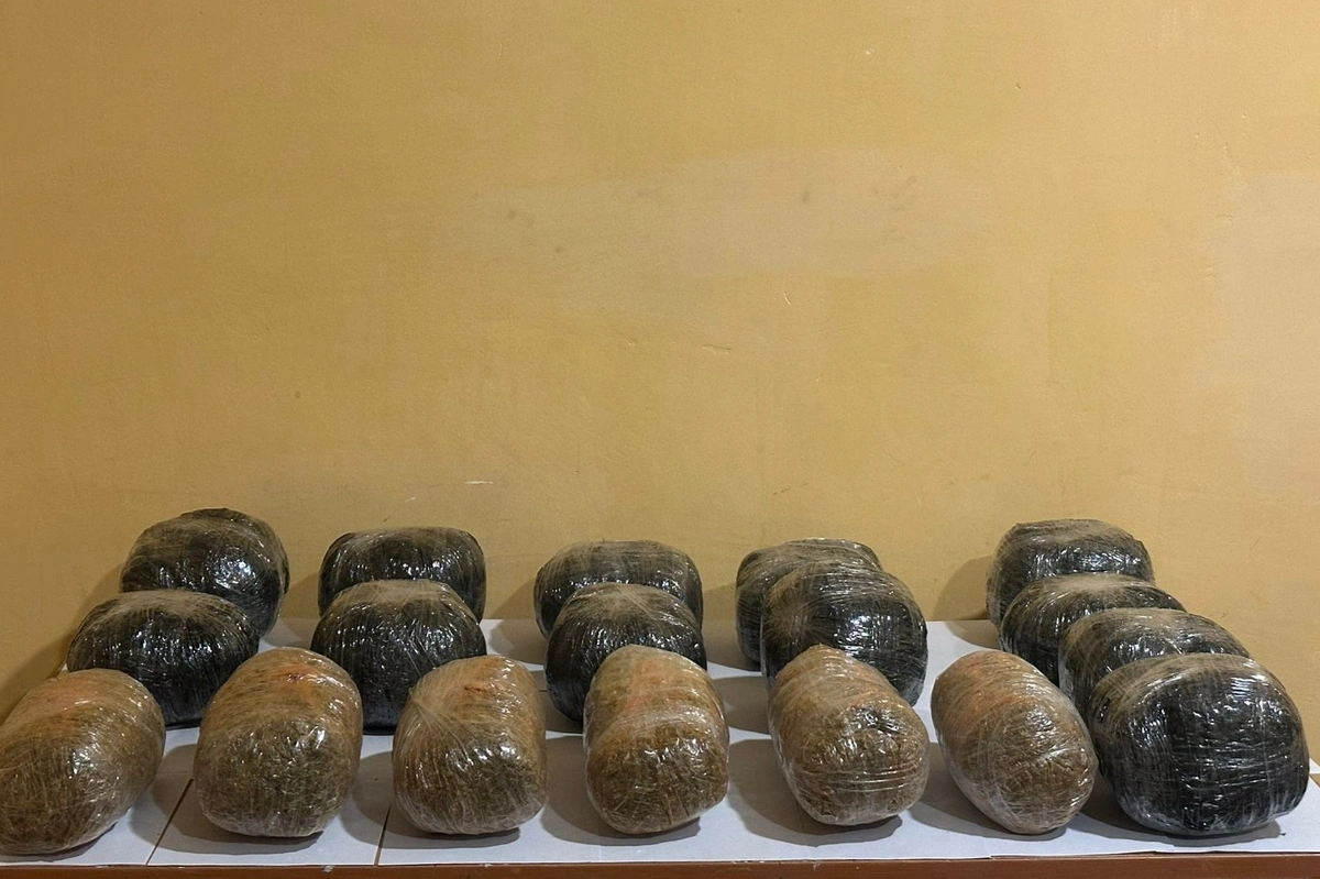 Daşkəsəndə polis çətin relyef şəraitində əməliyyat keçirib, 12 kq narkotik vasitə aşkarlanıb