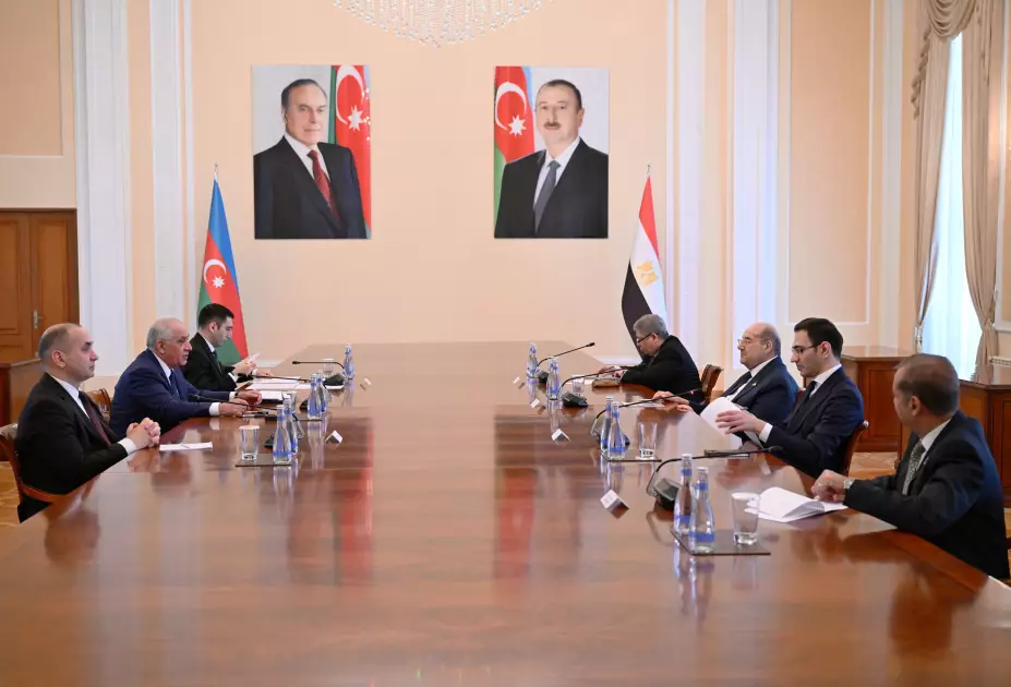 Baş nazir Əli Əsədov Misir Senatının sədri ilə görüşüb