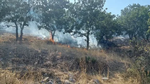 Ağdərədə növbəti yanğın baş verib
